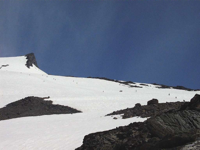 rainierslog.jpg